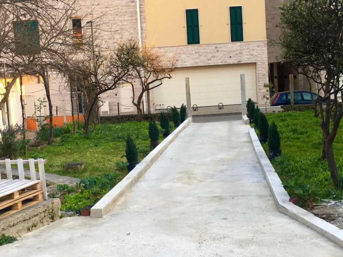 Banicevic Apartmani Ðenovići Zewnętrze zdjęcie