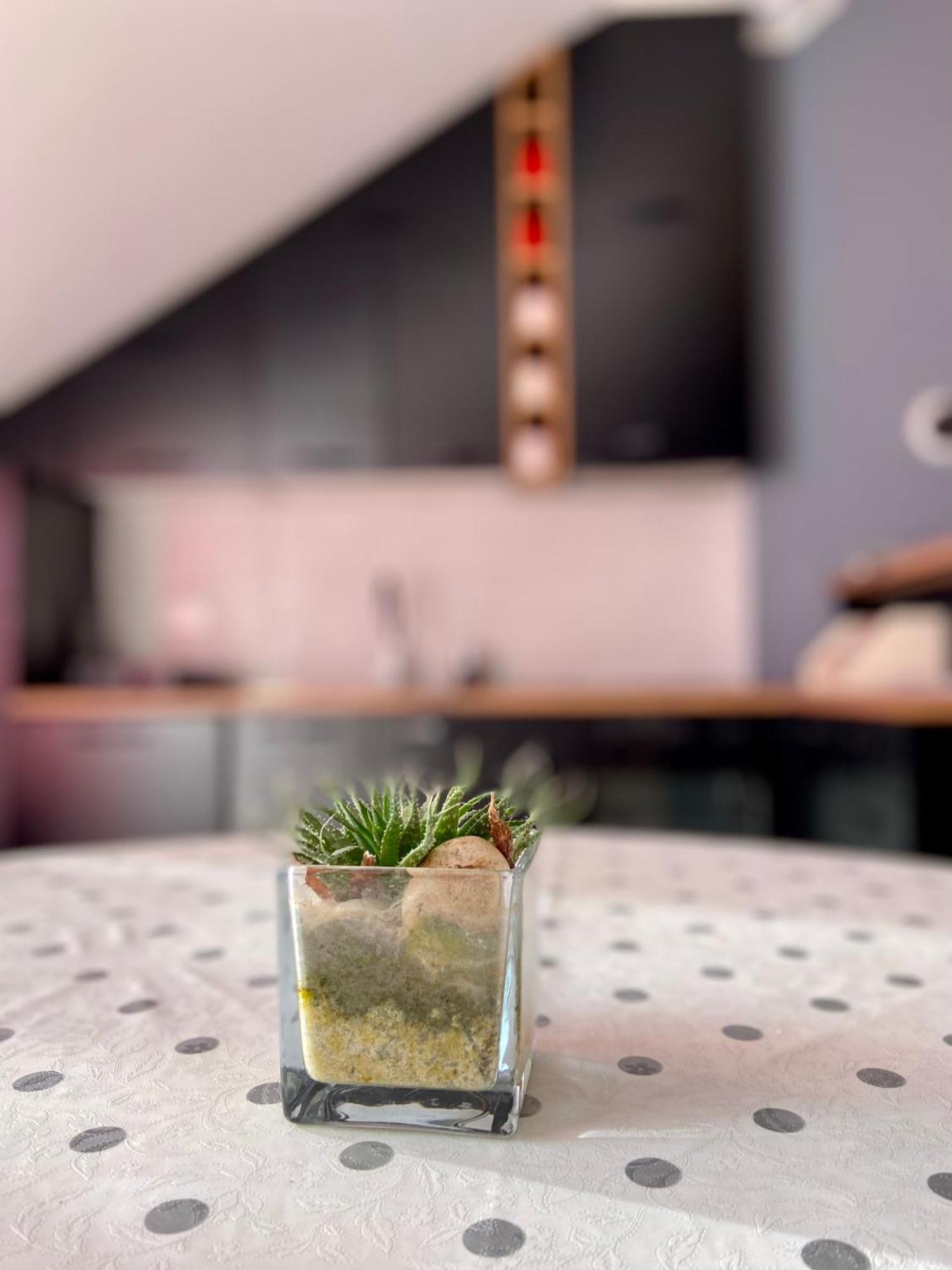 Banicevic Apartmani Ðenovići Zewnętrze zdjęcie